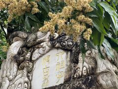 -国恩寺