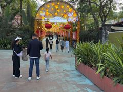 -广州长隆国际大马戏