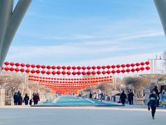 -石家庄市植物园