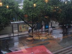 -盐帮食坊•小河帮川菜(四川师大店)