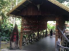 -莫里热带雨林景区