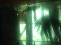 大堂-唛霸KTV(卓悦广场店)