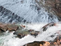 -广州白江湖森林公园