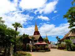 园区环境二（精）-告庄西双景