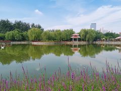-张店儿童公园