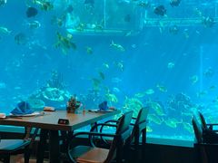 -海棠湾洲际-涛·海底餐厅·美人鱼·自助餐·海底隧道