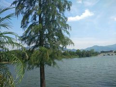 -飞来湖湿地公园