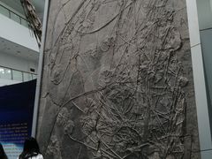 -中国地质大学逸夫博物馆