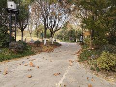 -上海吴淞炮台湾国家湿地公园