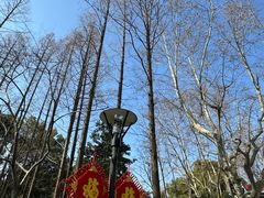 -徐家汇源景区-衡山公园