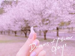 -同济大学(嘉定校区)