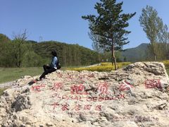 -乌龙峡谷景区