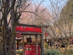 -土灶人家柴火鸡(都江堰店)