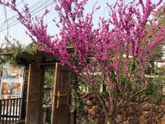 -悦哉·派对·草坪婚礼·围炉煮茶(三圣乡店)