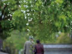 -巡塘古镇