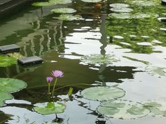 -濮园 · 四合院餐厅