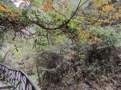 -五泄景区