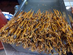 炸蝎子-王府井步行街