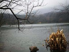 -紫霞湖公园