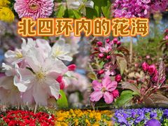 -海棠花溪(元大都城垣遗址公园)