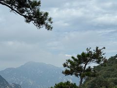 -沂蒙山旅游区云蒙景区(蒙山国家森林公园)