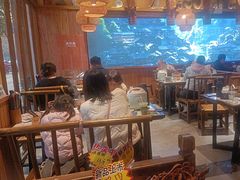 -寨子里的钵钵菜-湘西山里菜(火车站店)