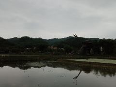 -红山村