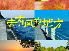 -贡湖湾湿地公园
