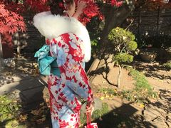 -东京浅草和服体验江户和装工房雅(浅草本店)