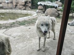 -齐齐哈尔龙沙动植物园