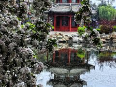 -莲池书院博物馆