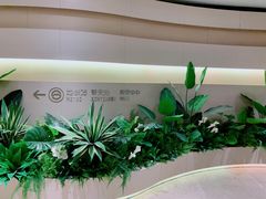 -虹桥新天地