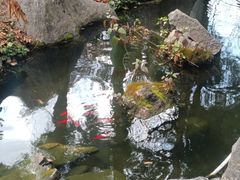 -昆明动物园