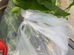 -大自然农场蔬菜草莓采摘园