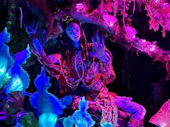 -奥兰多迪士尼动物王国乐园