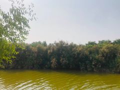 -大港湿地公园
