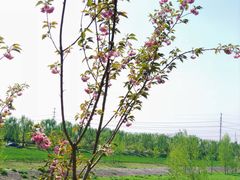 -洨河生态公园
