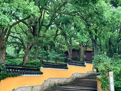 -普陀山风景名胜区-法雨禅寺