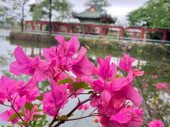 -星湖旅游景区七星岩