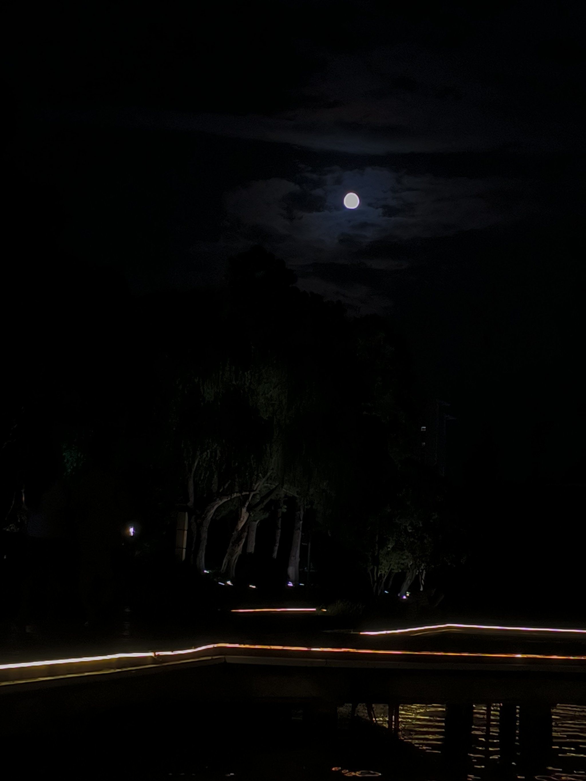 美丽的月和残缺的树