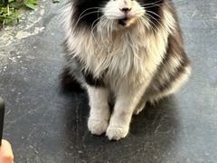 -北马山庄植趣咖啡