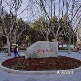 街头随拍｜华山绿地｜闹市区里的街心公园