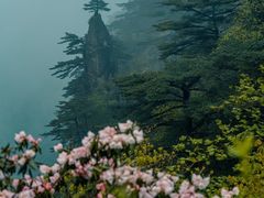 -黄山风景区