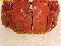 -蟹榭·本帮江浙菜·蟹宴(五角场合生汇商场店)