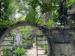 -中国科学院西双版纳热带植物园