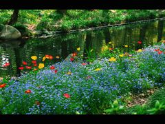 -上海共青森林公园