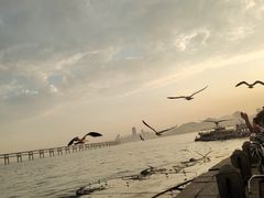 -星海广场