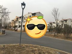 -阿那亚第三食堂 Cafeteria 3