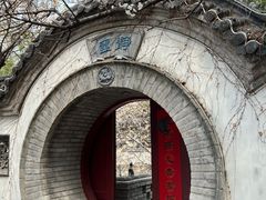 -老张烤羊(王哥庄店)