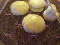 -韩城古城美食街